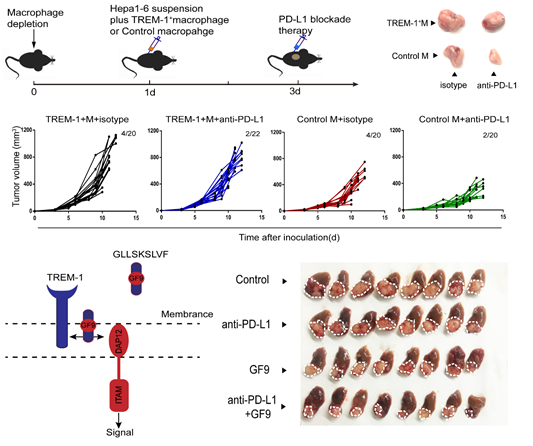 1552958513110690.png image.png