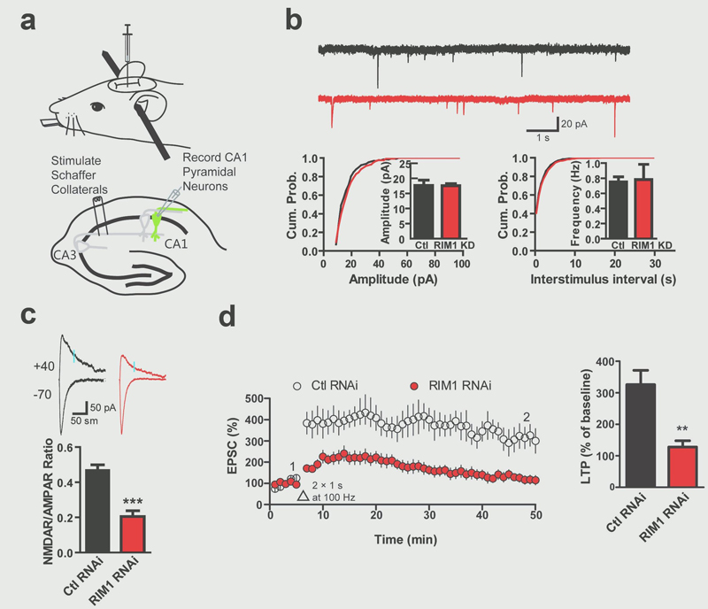 1528786422888046.jpg 1528786422888046.jpg