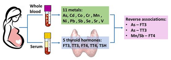 1542092919581617.png image.png