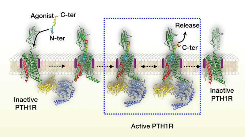1555061684788342.jpg 20190412093104_53718.jpg